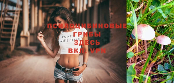 соль курить ск Горнозаводск