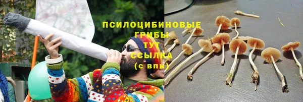 гидропоника Горно-Алтайск