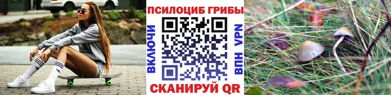 купить закладку  Кореновск  Галлюциногенные грибы Psilocybine cubensis 
