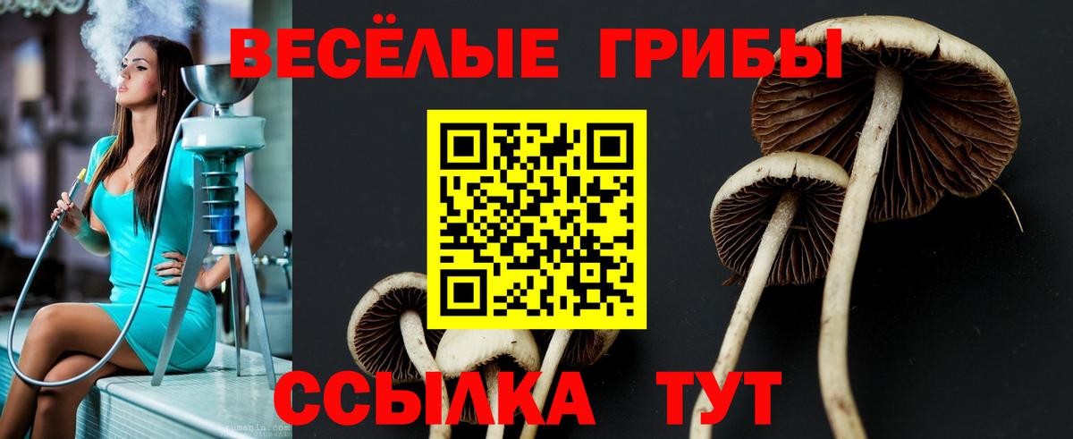 Кореновск  Псилоцибиновые грибы Psilocybe  Вход с VPN 